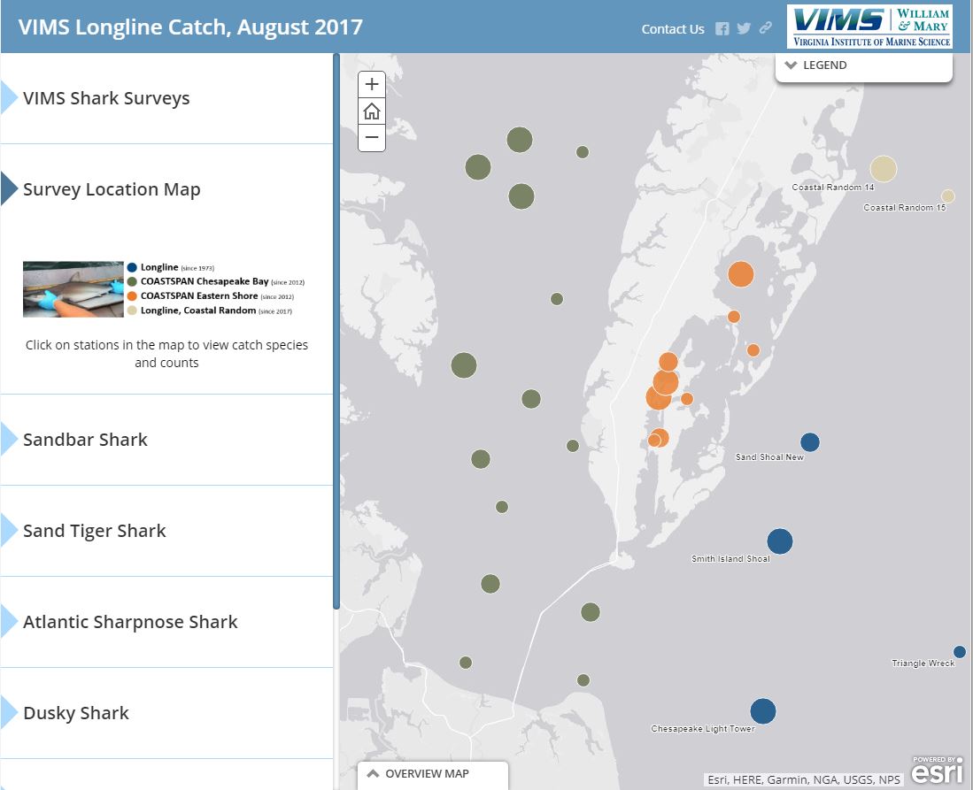 Shark Map, August 2017